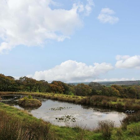 The Cottage Bideford Buitenkant foto
